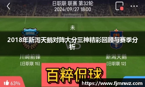 2018年新泻天鹅对阵大分三神精彩回顾与赛季分析